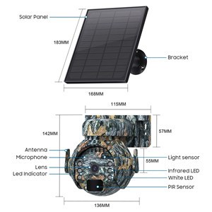 BLS-Q55